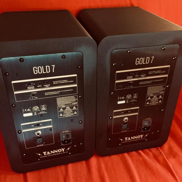Kytary by volily Tannoy Gold 7