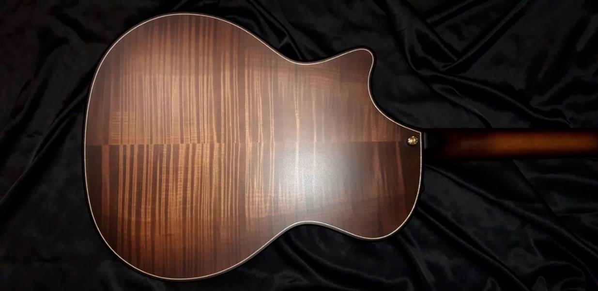 Taylor 614 ce WHB Builders Edition - Sleva!